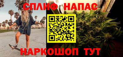 сатива Балахна