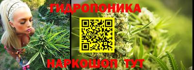 сатива Балахна