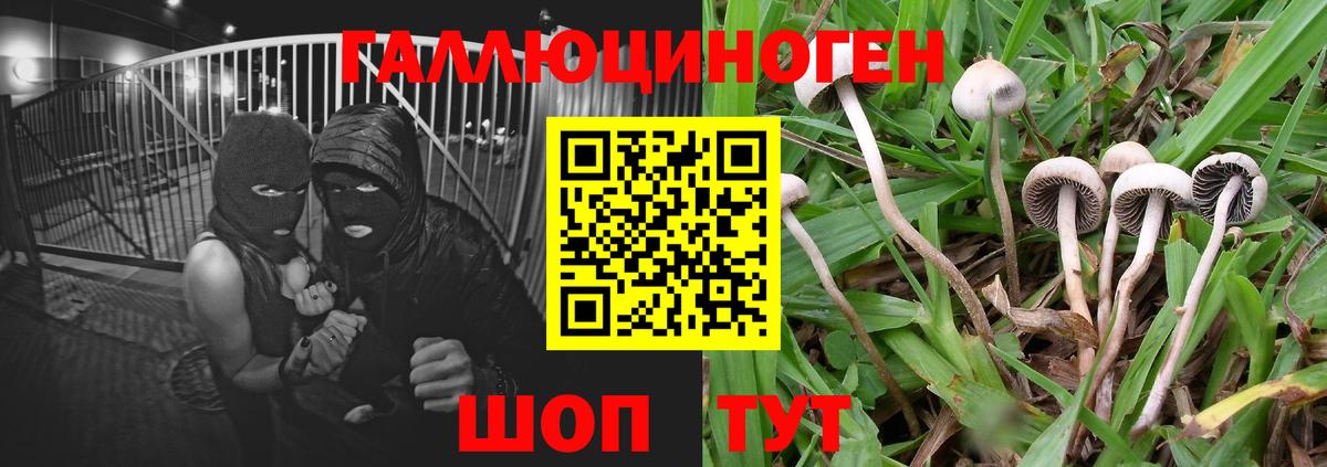 Псилоцибиновые грибы мицелий  Вход с VPN  Галлюциногенные грибы ЛСД  Ефремов 